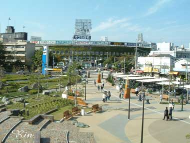 甲子園球場.jpg