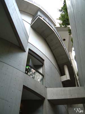 COLLEZIONE4.jpg